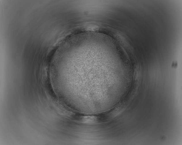 X0000112920363200909080939