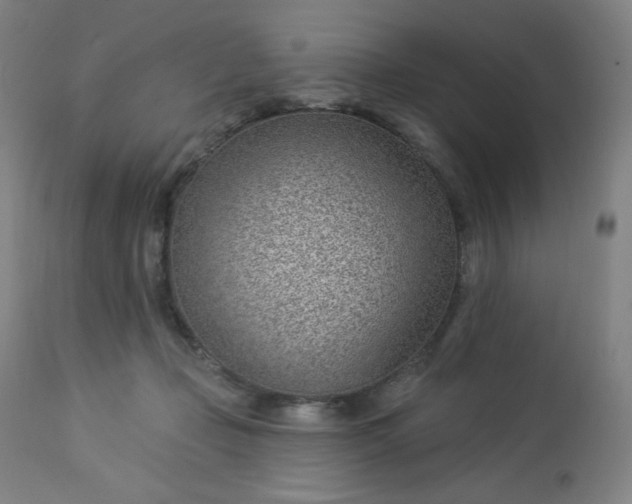 X0000112920365200909080939