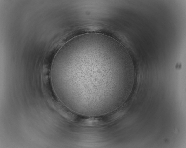 X0000112920366200909080939