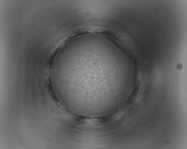 X0000112920367200909080939