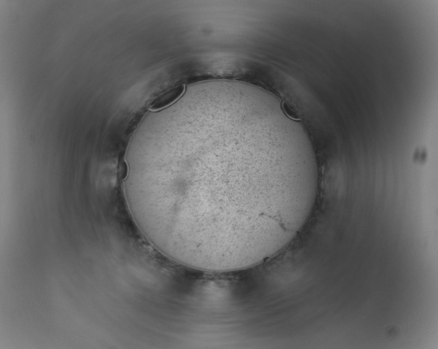 X0000112920368200909080939