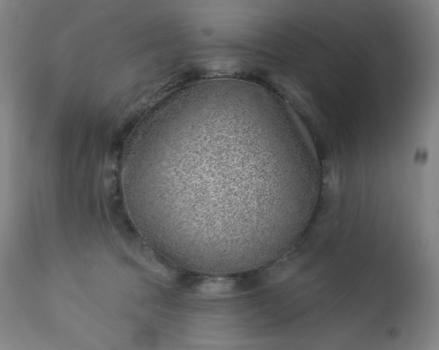 X0000112920369200909080939