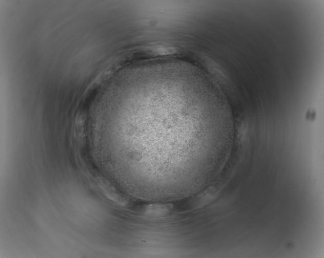 X0000112920373200909080939