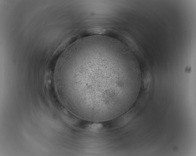 X0000112920374200909080939