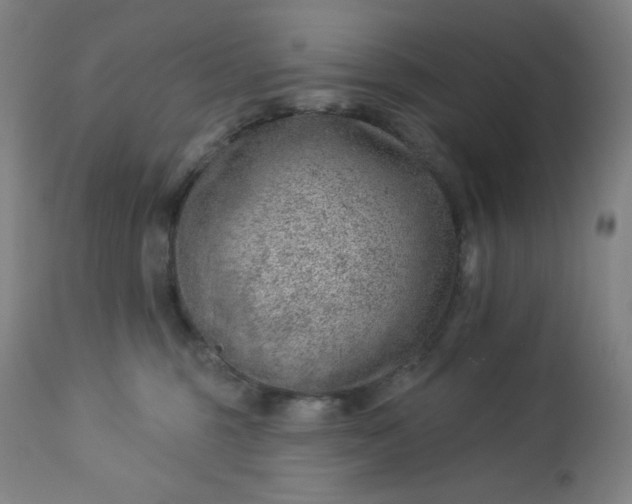 X0000112920375200909080939
