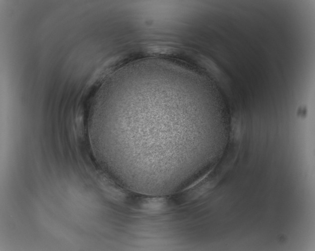 X0000112920377200909080939
