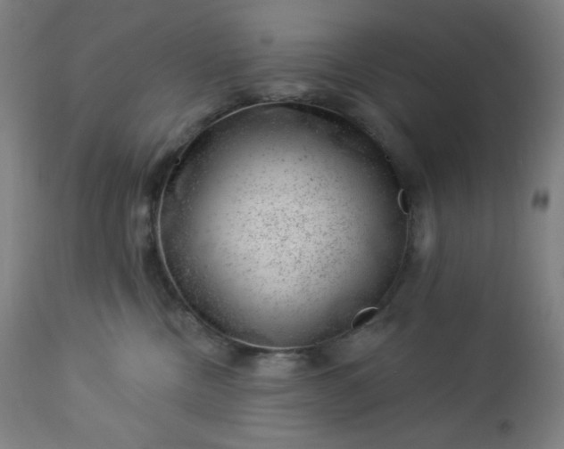 X0000112920378200909080939