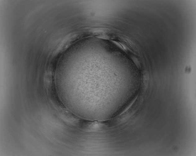 X0000112920379200909080939