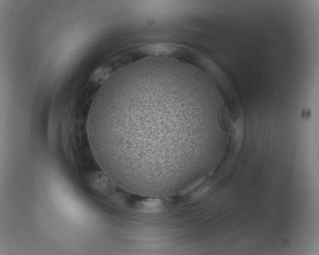 X0000112920381200909080939