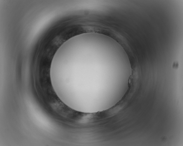 X0000112920382200909080939