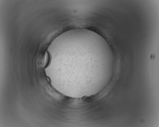 X0000112920384200909080939