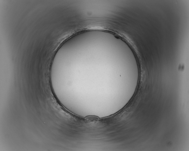 X0000112920385200909080939