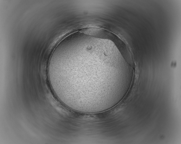 X0000112920386200909080939