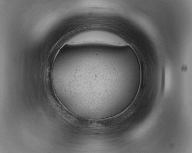 X0000112920387200909080939
