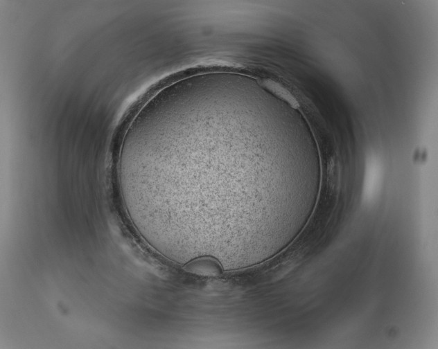 X0000112920388200909080939