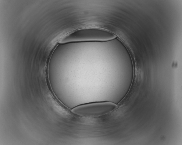 X0000112920389200909080939
