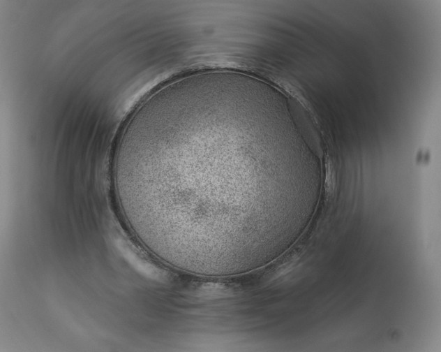 X0000112920390200909080939