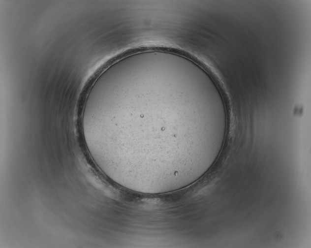 X0000112920391200909080939