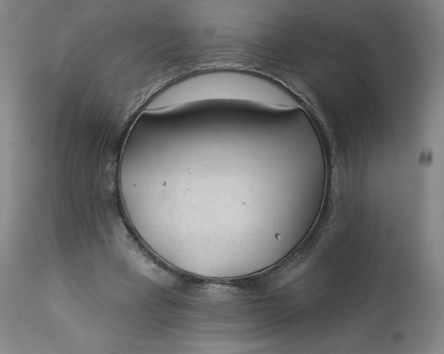 X0000112920393200909080938