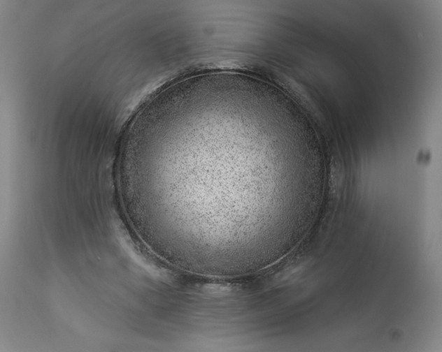 X0000112920394200909080938