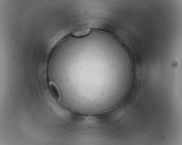 X0000112920395200909080938