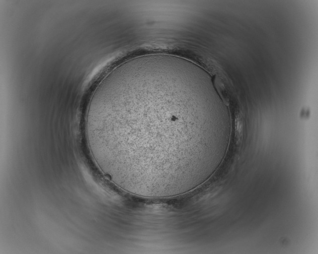 X0000112920396200909080938