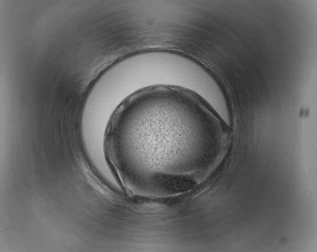 X0000112920397200909080938