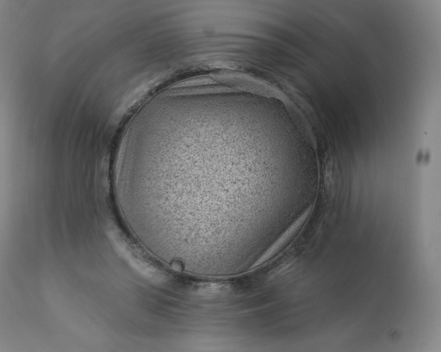 X0000112920398200909080938