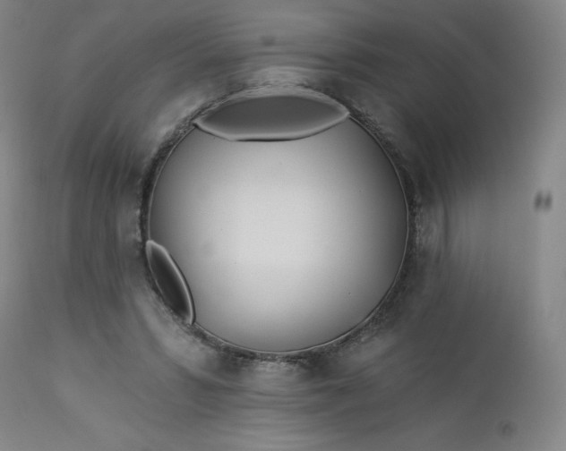 X0000112920399200909080938