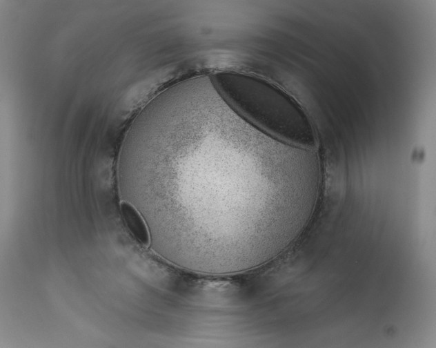 X0000112920401200909080938