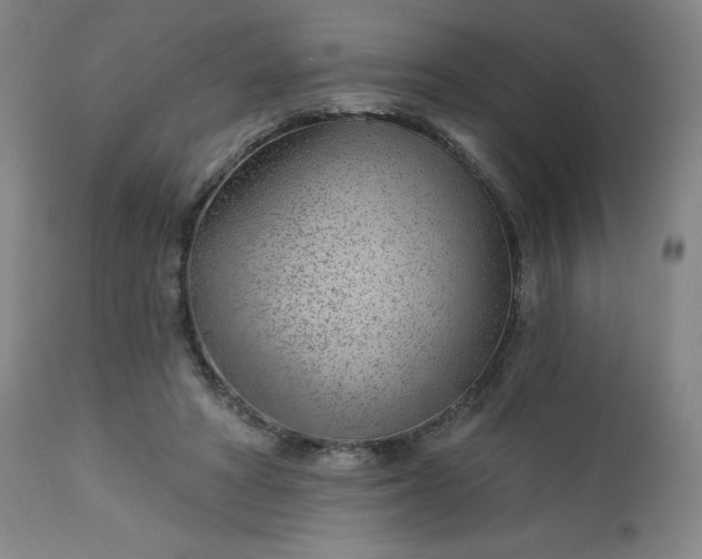 X0000112920402200909080938