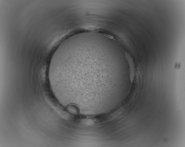 X0000112920404200909080938
