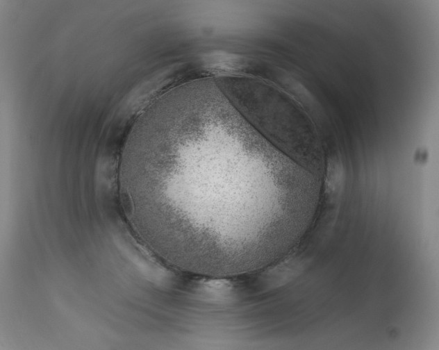 X0000112920409200909080938