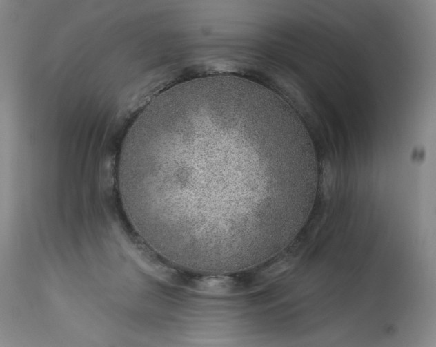 X0000112920410200909080938