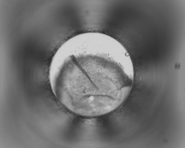 X0000112920411200909080938