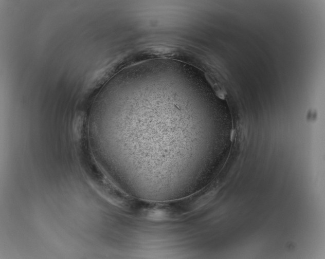 X0000112920412200909080938