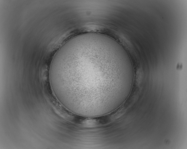 X0000112920413200909080938