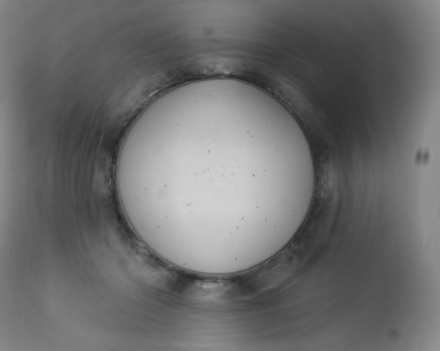 X0000112920414200909080938