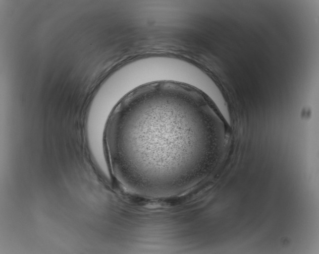 X0000112920415200909080938