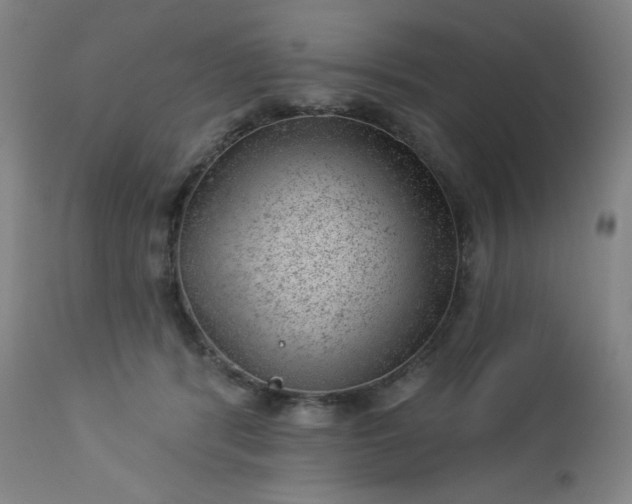 X0000112920416200909080938