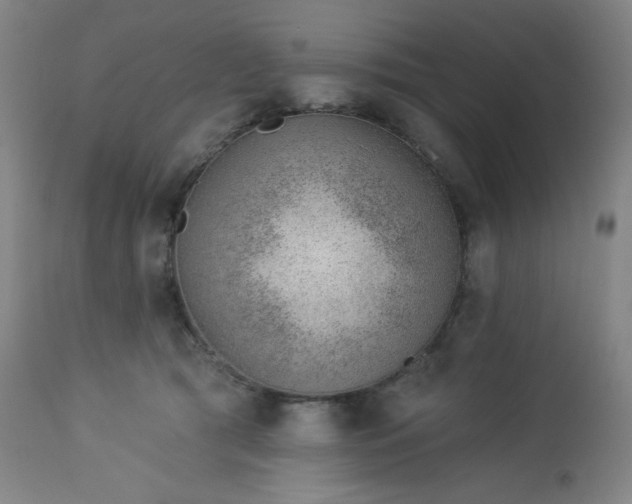 X0000112920417200909080938