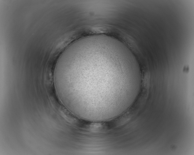 X0000112920418200909080938