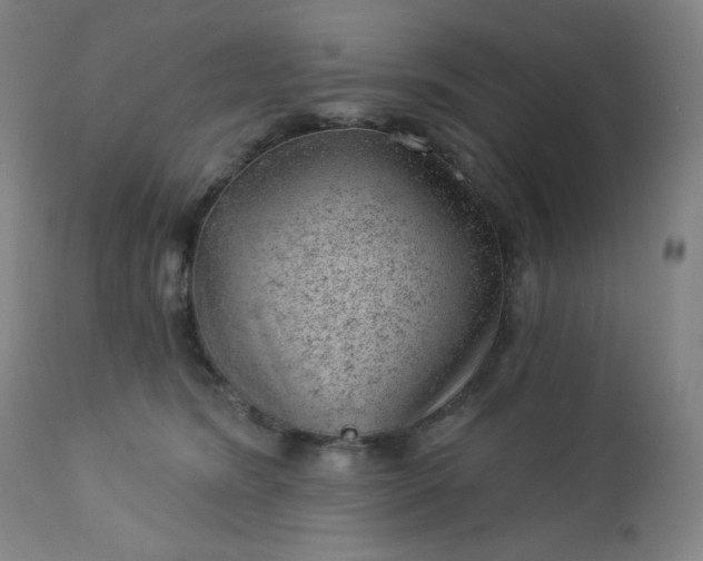 X0000112920420200909080938