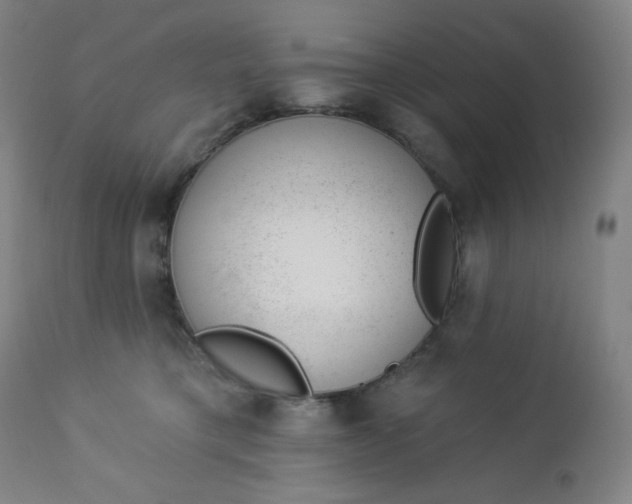 X0000112920421200909080938