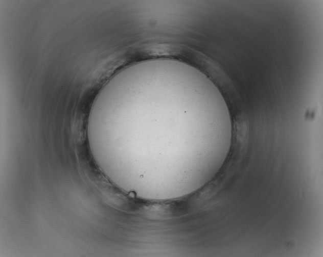 X0000112920422200909080938