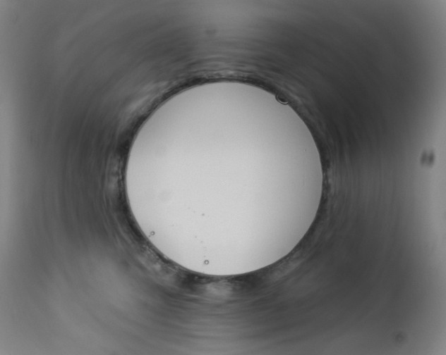 X0000112920423200909080938