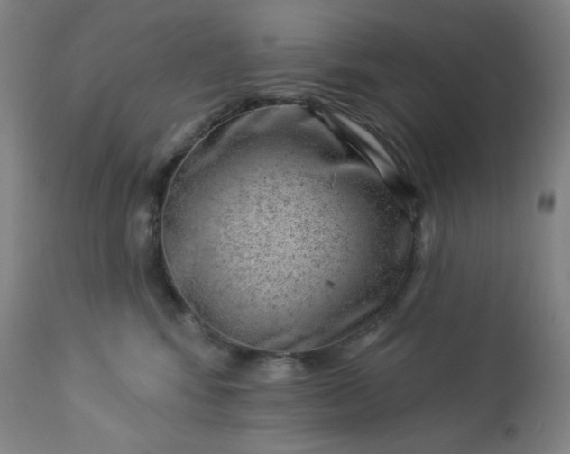 X0000112920424200909080938