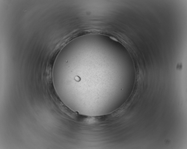 X0000112920425200909080938