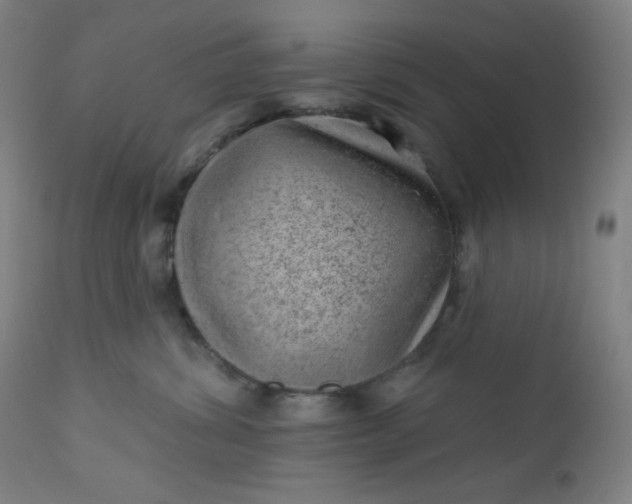 X0000112920428200909080938