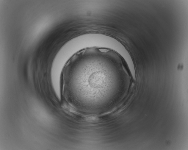 X0000112920429200909080938